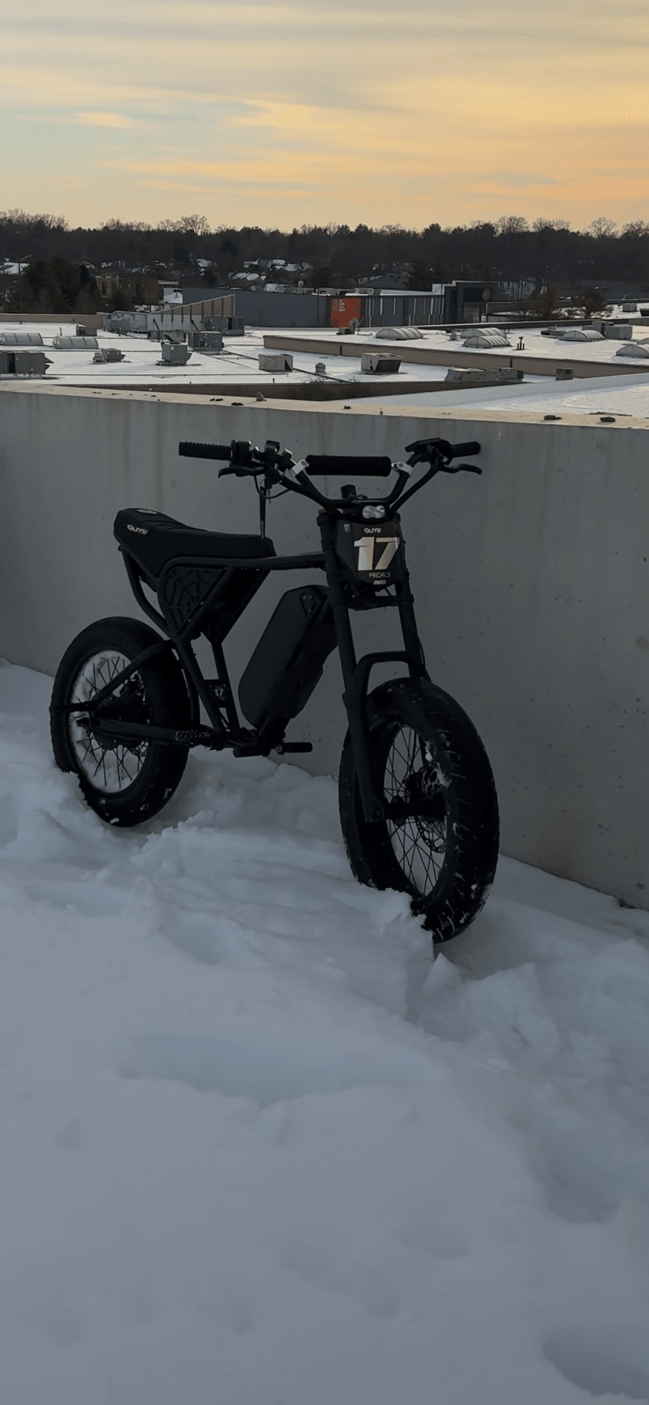Ridstar Titanium Bolt Kit