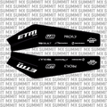 RTR Swing Arm Decal