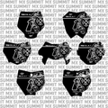 Limited Edition: Chrome Hearts Number Plate Decal