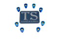 Ventus V9600 Heat Sink Titanium Bolt Kits (8 pcs)